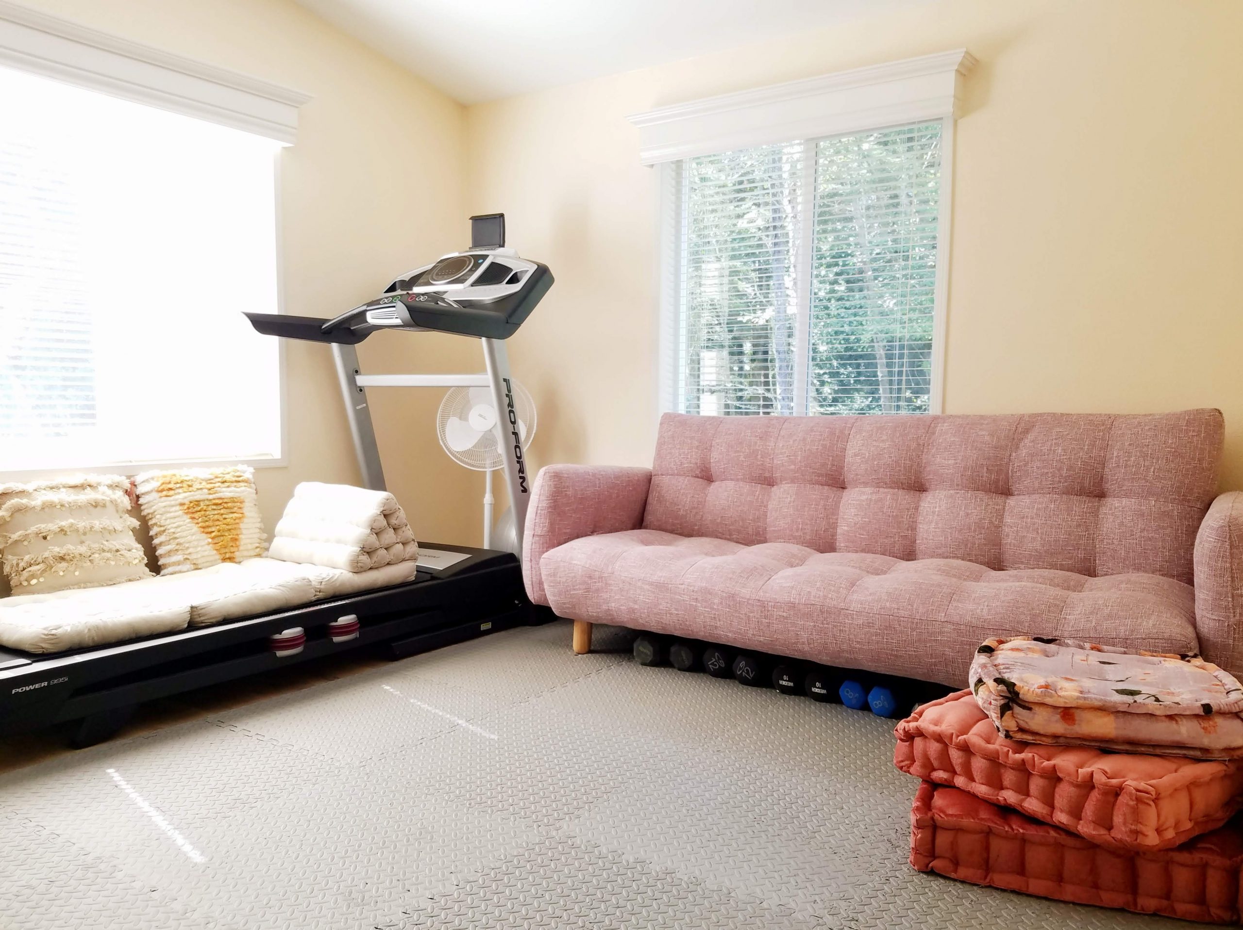 Treadmill In Living Room Ideas: Impressive Ideas