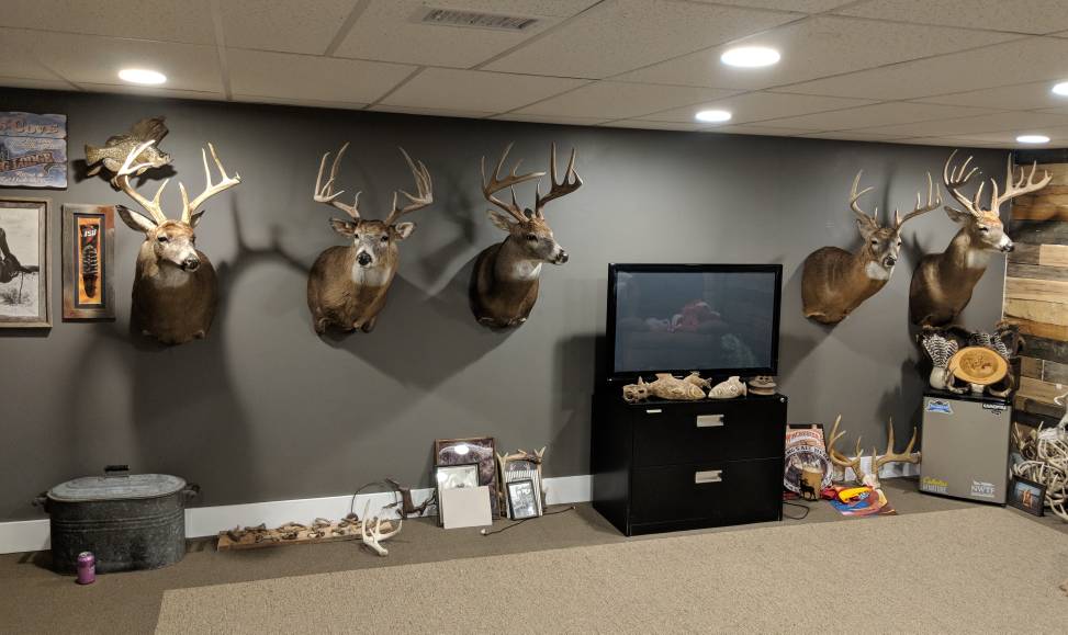 Whitetail Trophy Room Ideas
